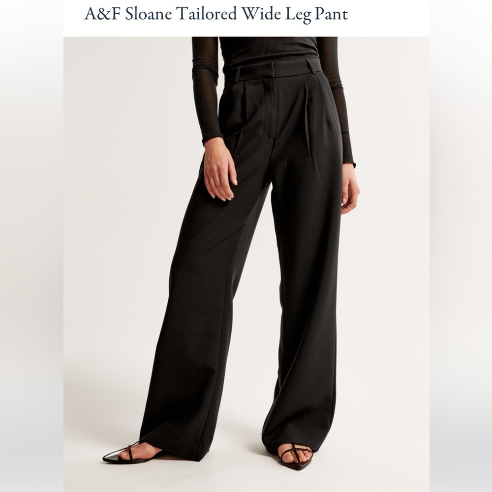 A&F Sloane wide leg tailored pant. 24 short.